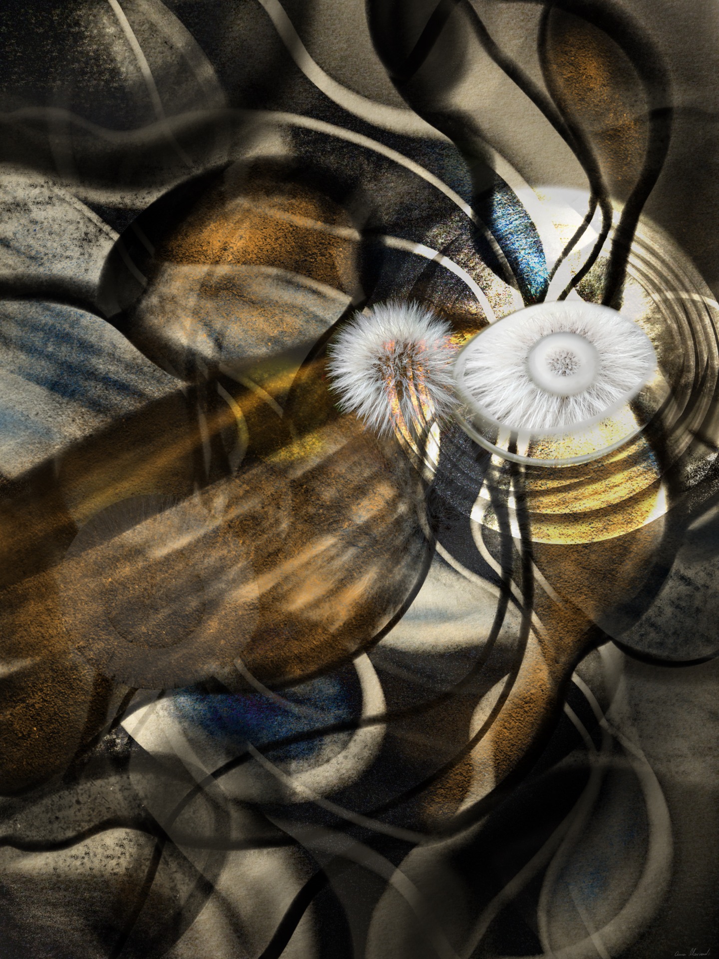 Macal 2021 Macal is a series in which macrophotography is combined with digital painting to explore the micro-scale as an expanded perceptual field. Natural elements are photographed and digitally transformed, allowing physical reality and digital intervention to coexist within a single visual structure. The works remain intentionally untitled, encouraging active engagement and open-ended perception. Macal unfolds as a contemplative environment where nature, memory, and consciousness converge beyond fixed interpretation, emphasizing perception as an evolving cognitive process.